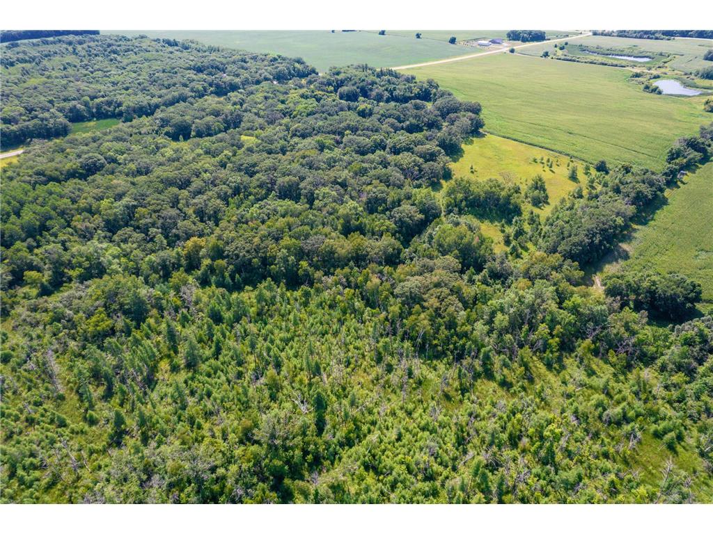 25565 County Highway 61 Henning Twp MN 56551 6422791 image1