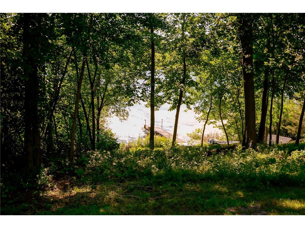 2557 Clementa Avenue NW Buffalo MN 55313 - South Twin Lake 6749880 image80