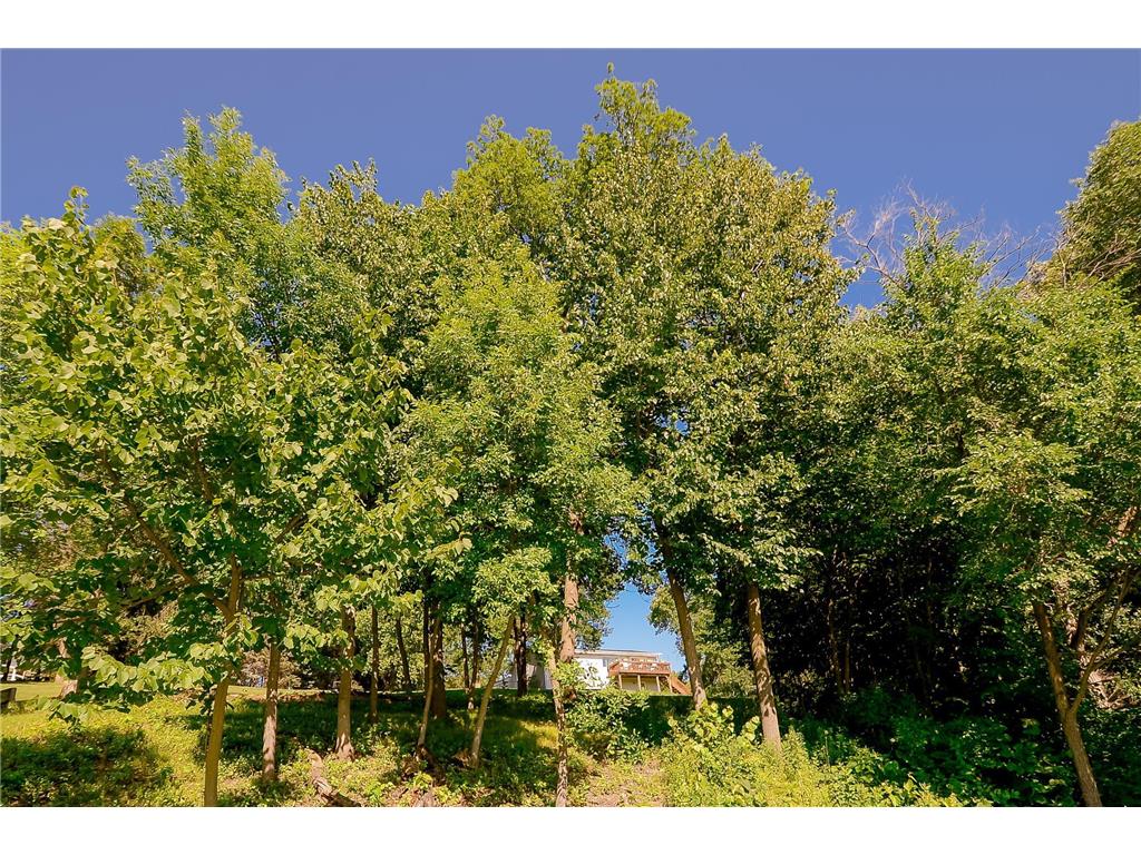 2557 Clementa Avenue NW Buffalo MN 55313 - South Twin Lake 6749880 image83