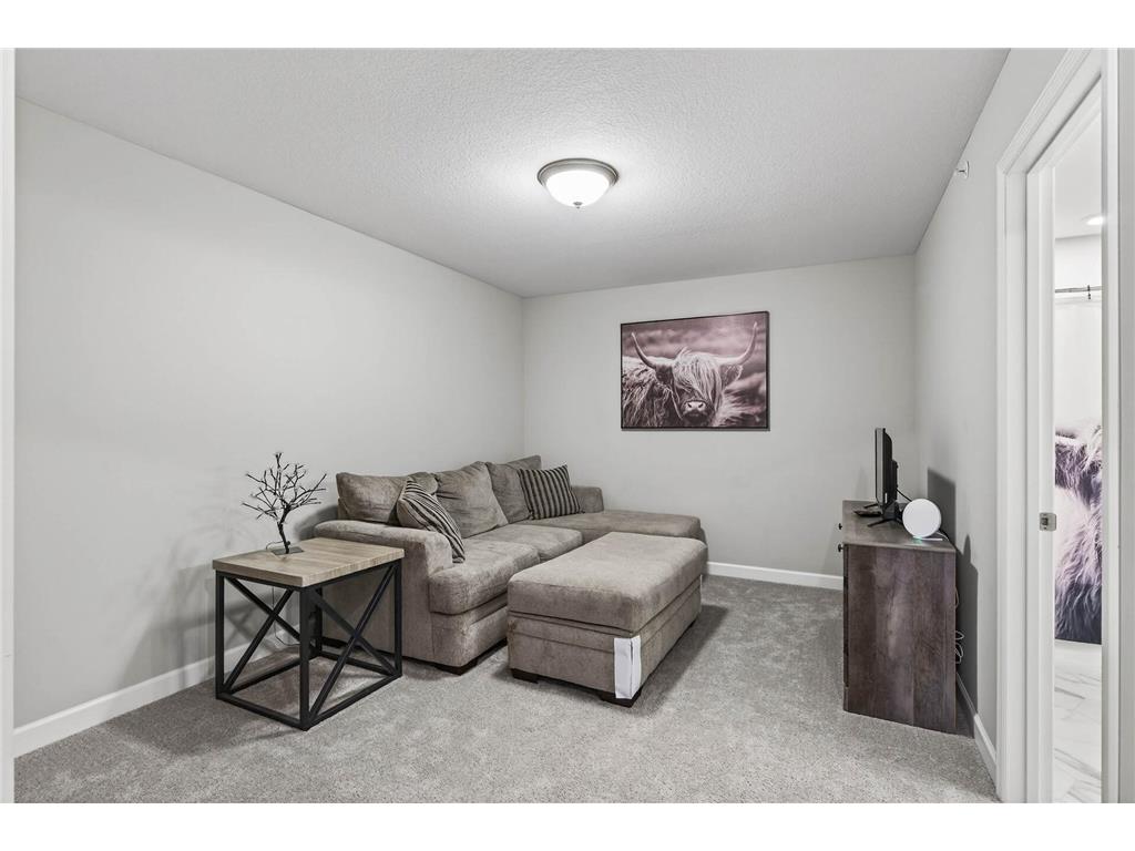 25584 3rd Street W Zimmerman MN 55398 7070818 image13