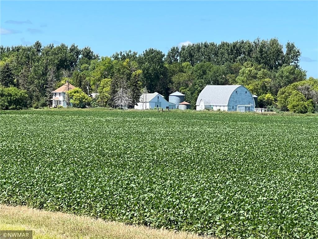 25590 430th Street SW, Beltrami, MN, 56517 MLS 6243594 Edina Realty