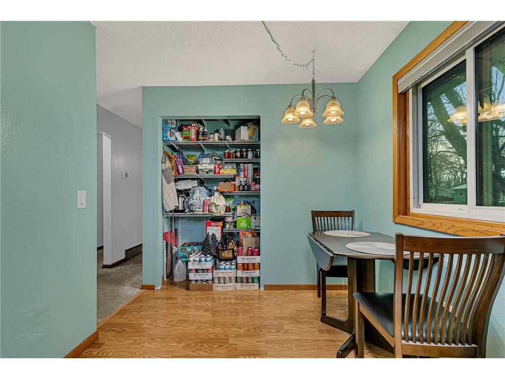 256 Birch Drive Foley MN 56329 7061402 image4