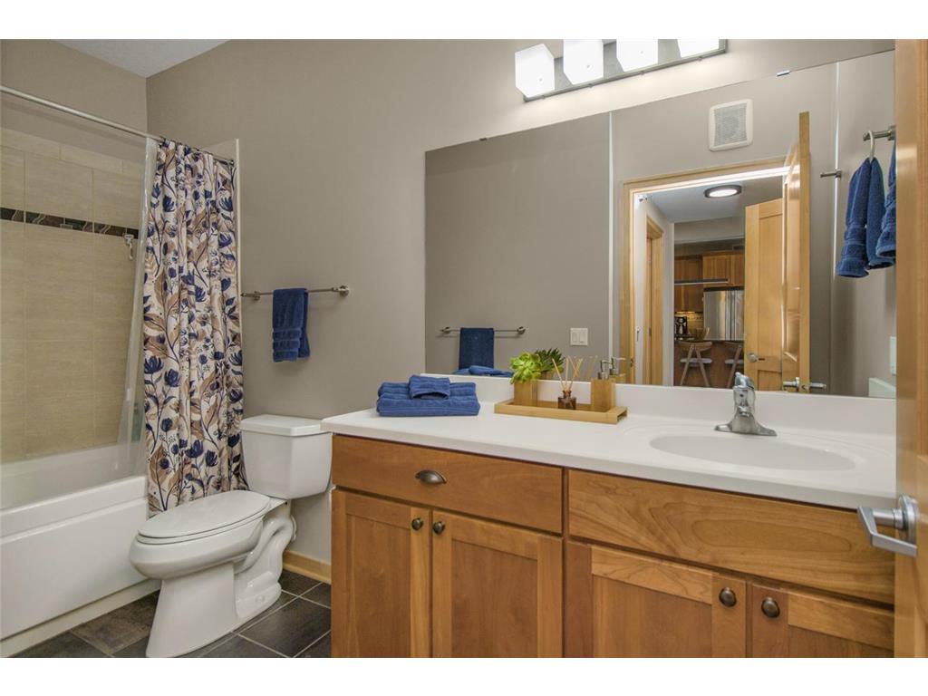 256 Spring Street #120 Saint Paul MN 55102 - Mississippi 7035382 image21