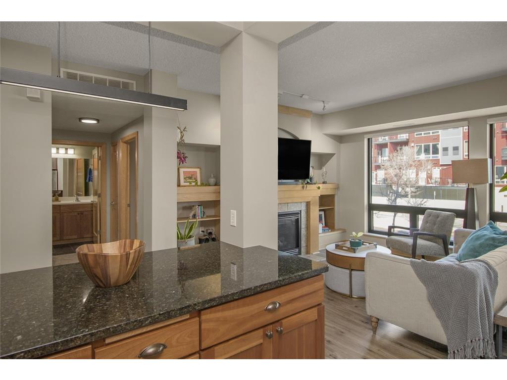 256 Spring Street #120 Saint Paul MN 55102 - Mississippi 7035382 image7