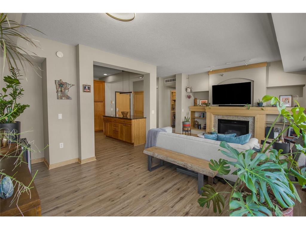 256 Spring Street #120 Saint Paul MN 55102 - Mississippi 7035382 image9