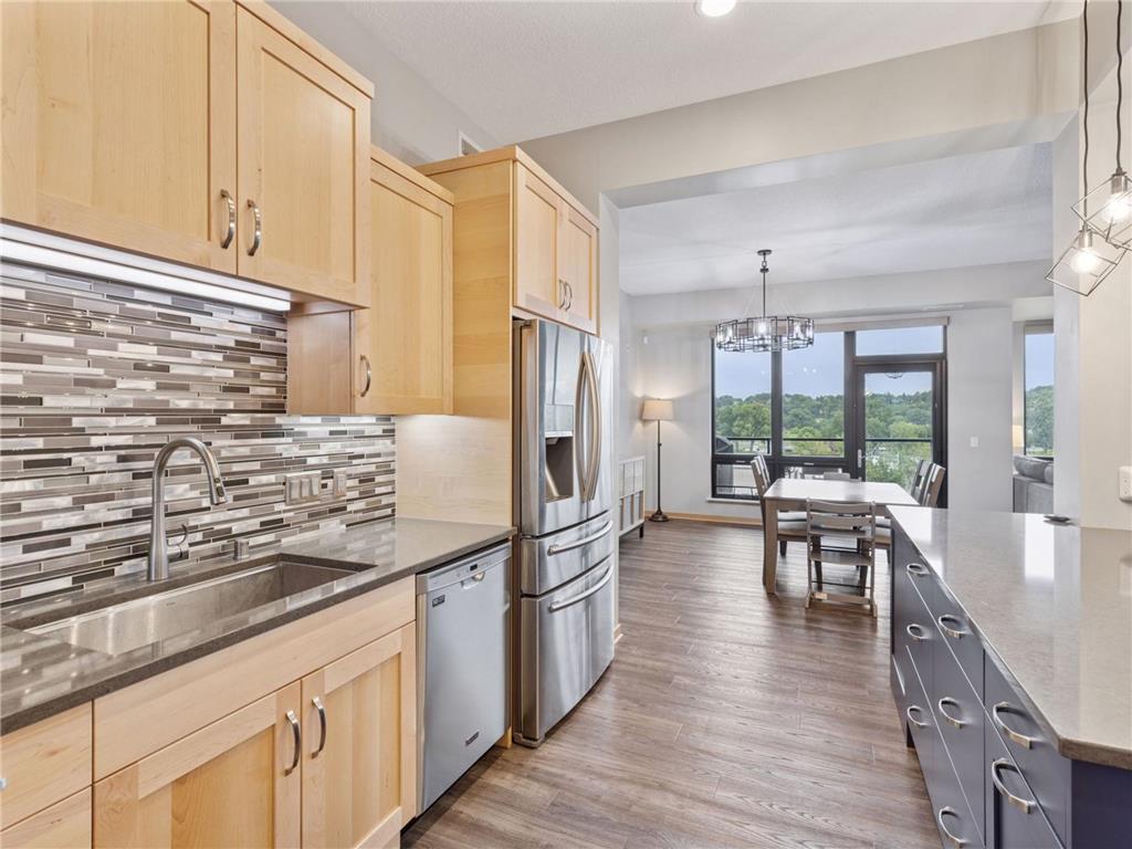 256 Spring Street #413 Saint Paul MN 55102 7064233 image16