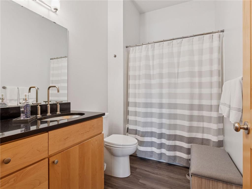256 Spring Street #413 Saint Paul MN 55102 7064233 image32