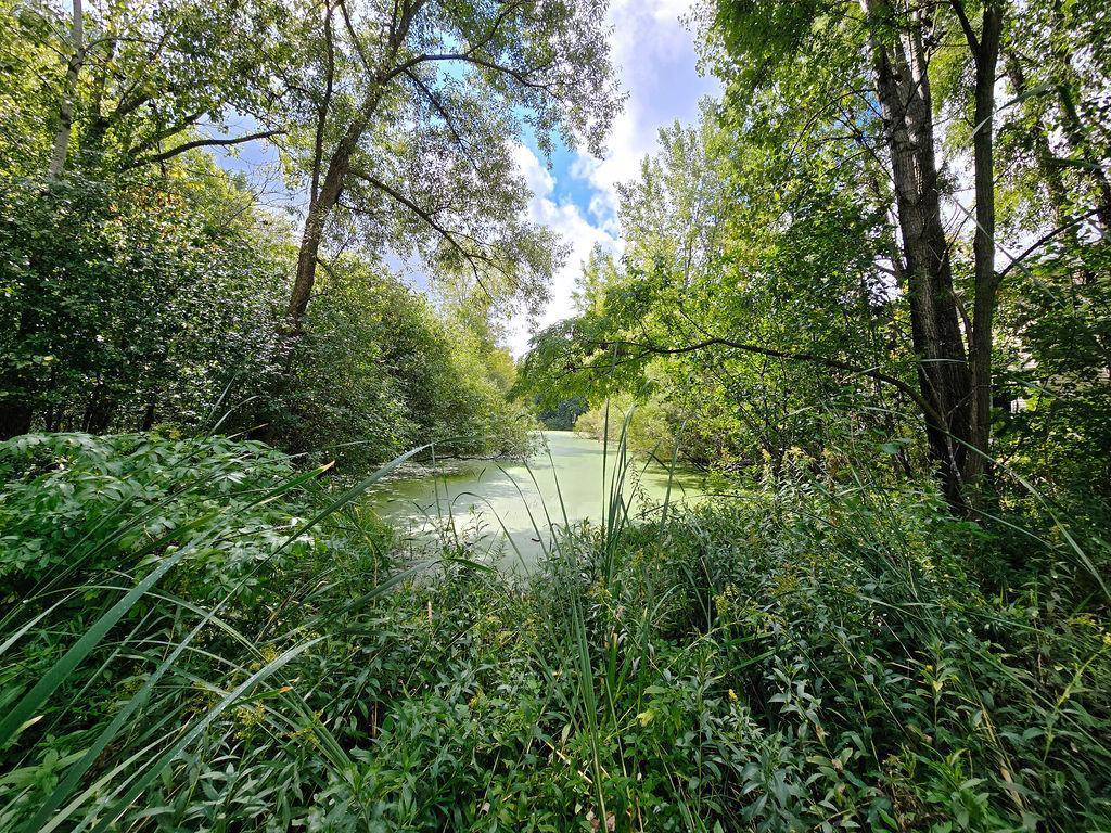 2560 County Road H2 W Mounds View MN 55112 6788145 image32