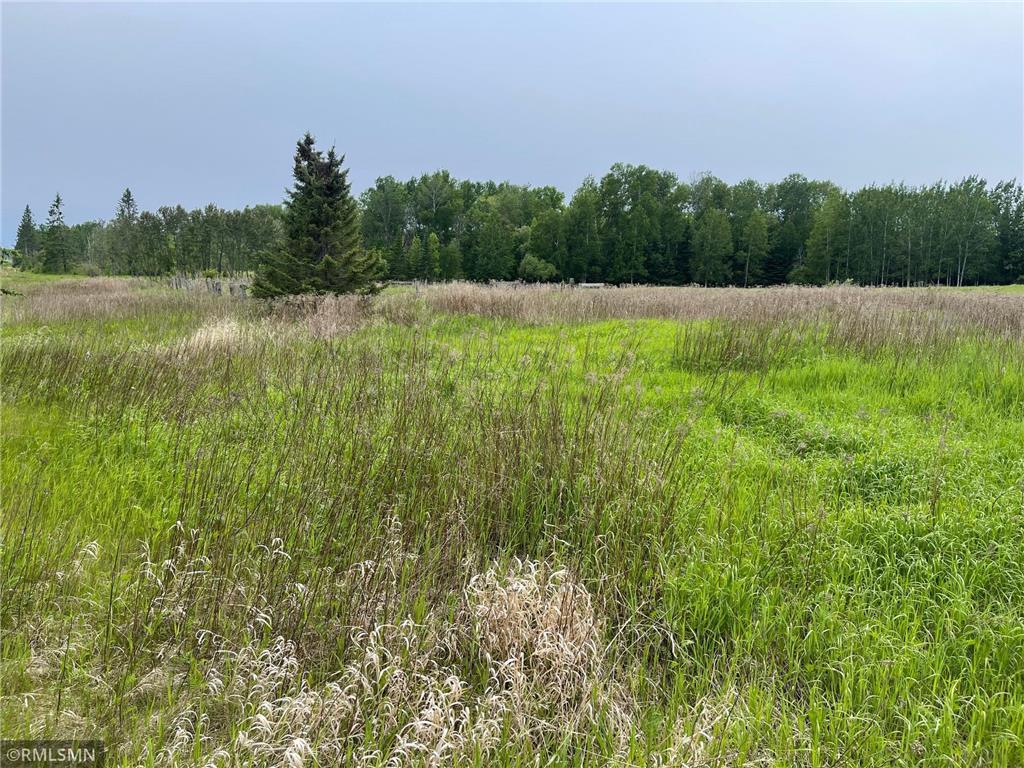 25617 North Road Trout Lake Twp MN 55709 6738347 image1