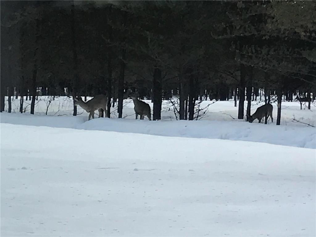 25618 Dannys Lane NW, Grygla, MN, 56727 MLS 6501932 Edina Realty