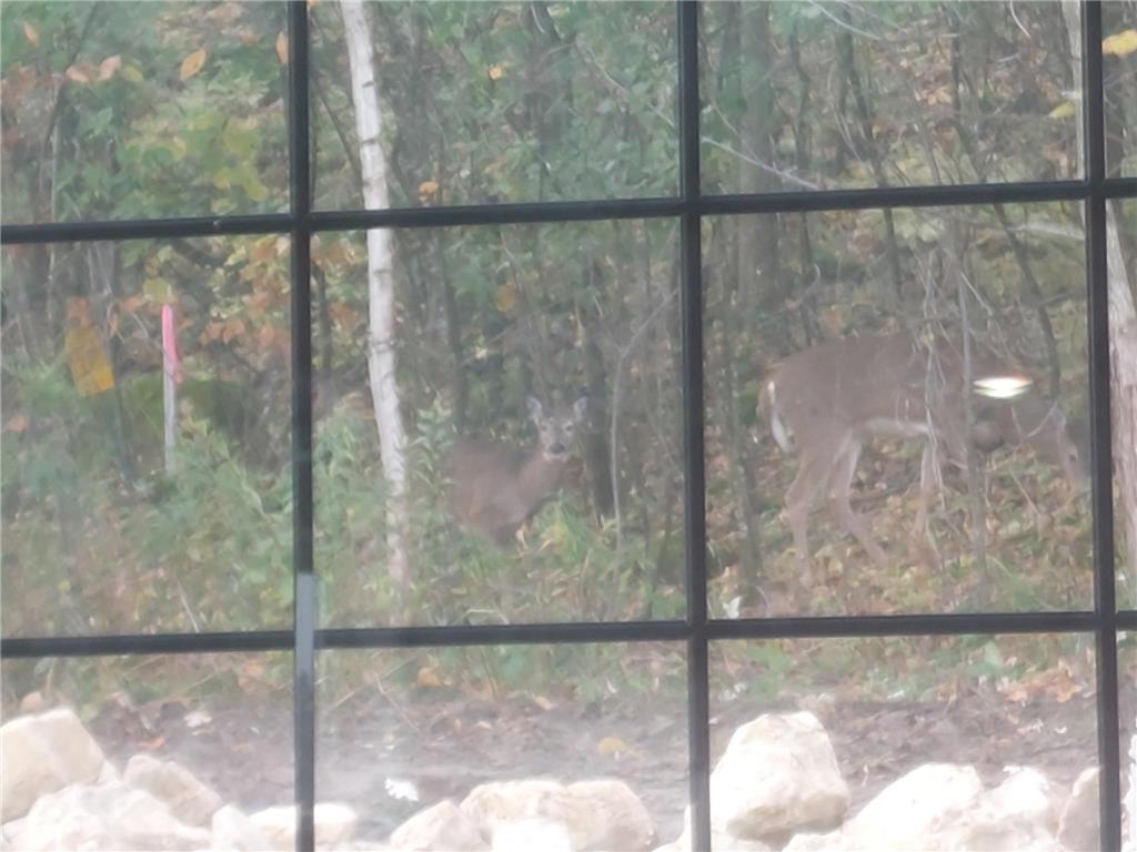 2563 Clubhouse Drive Lake City MN 55041 6812684 image66