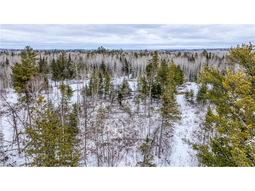 25634 Smokey Hollow Drive Helga Twp MN 56461 7053478 image17