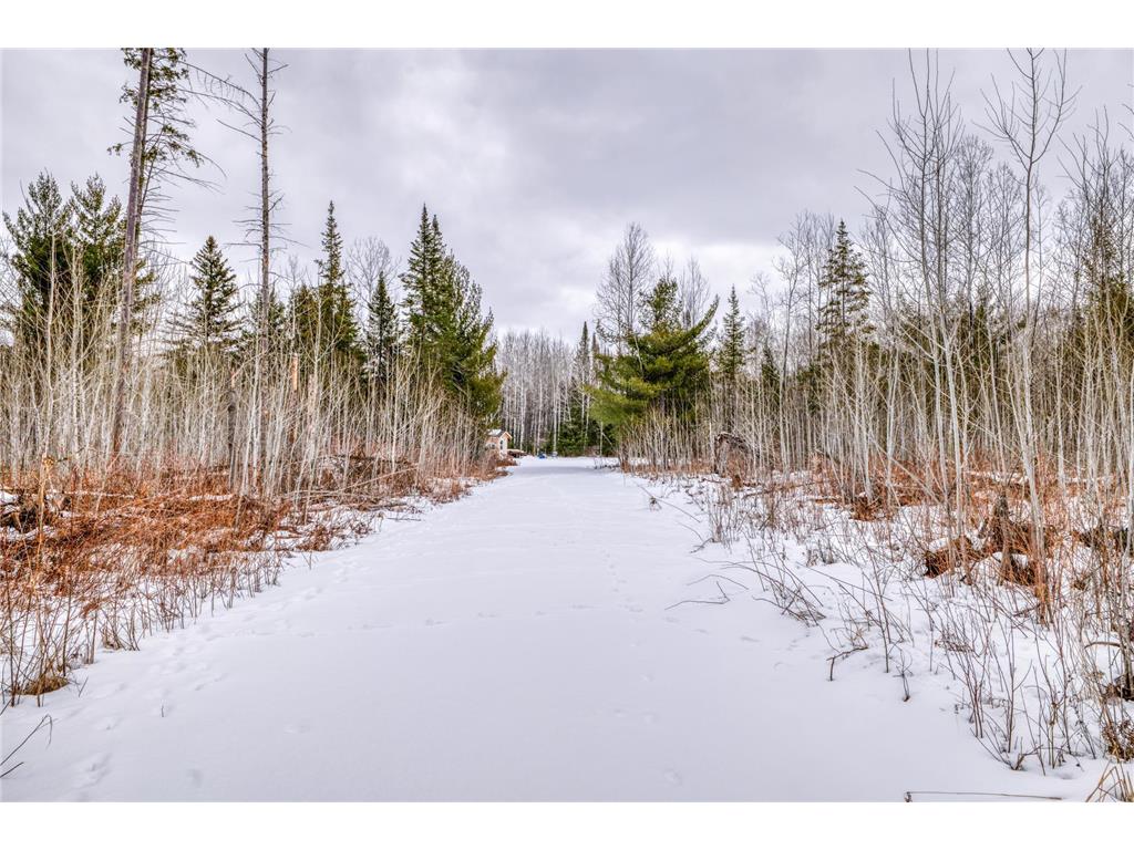 25634 Smokey Hollow Drive Helga Twp MN 56461 7053478 image19