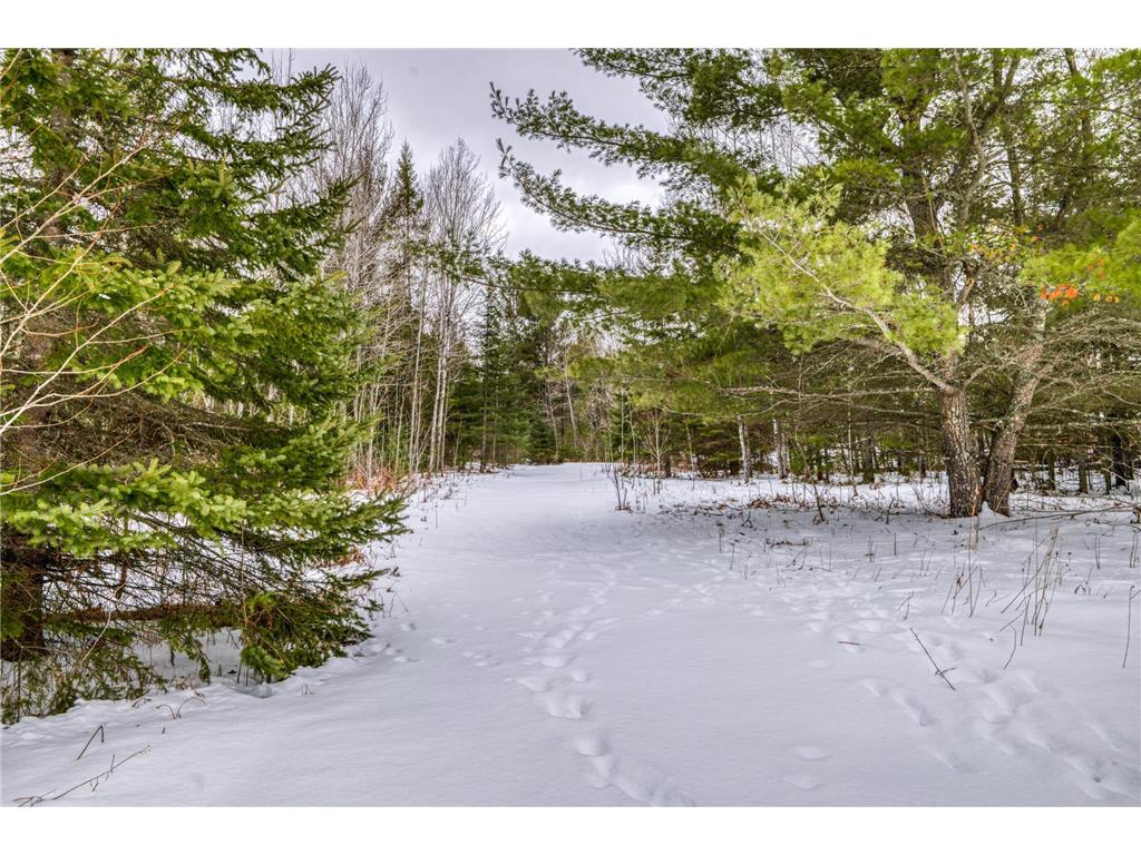 25634 Smokey Hollow Drive Helga Twp MN 56461 7053478 image23