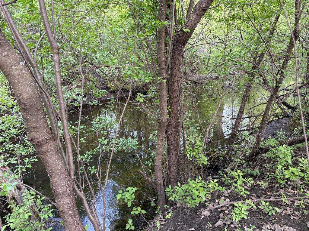 25647 Gustavus Court Wyoming MN 55092 - Sunrise River 7071891 image68