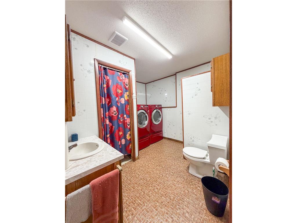 25651 Alvwood Road NE Summit Twp MN 56630 7097545 image14