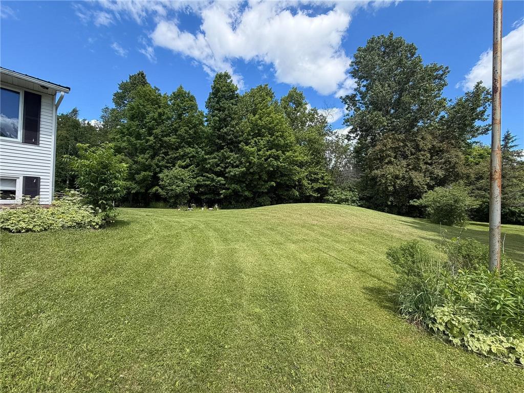 25651 Alvwood Road NE Summit Twp MN 56630 7097545 image19