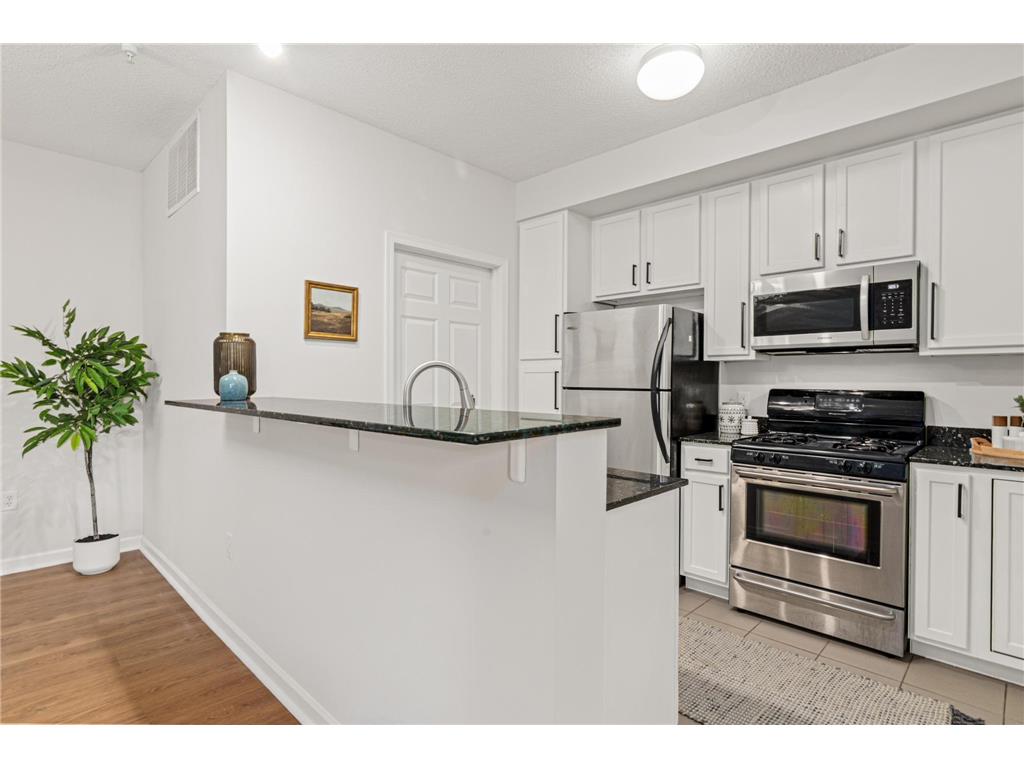 2566 Ellis Avenue #103 Saint Paul MN 55114 7005850 image3