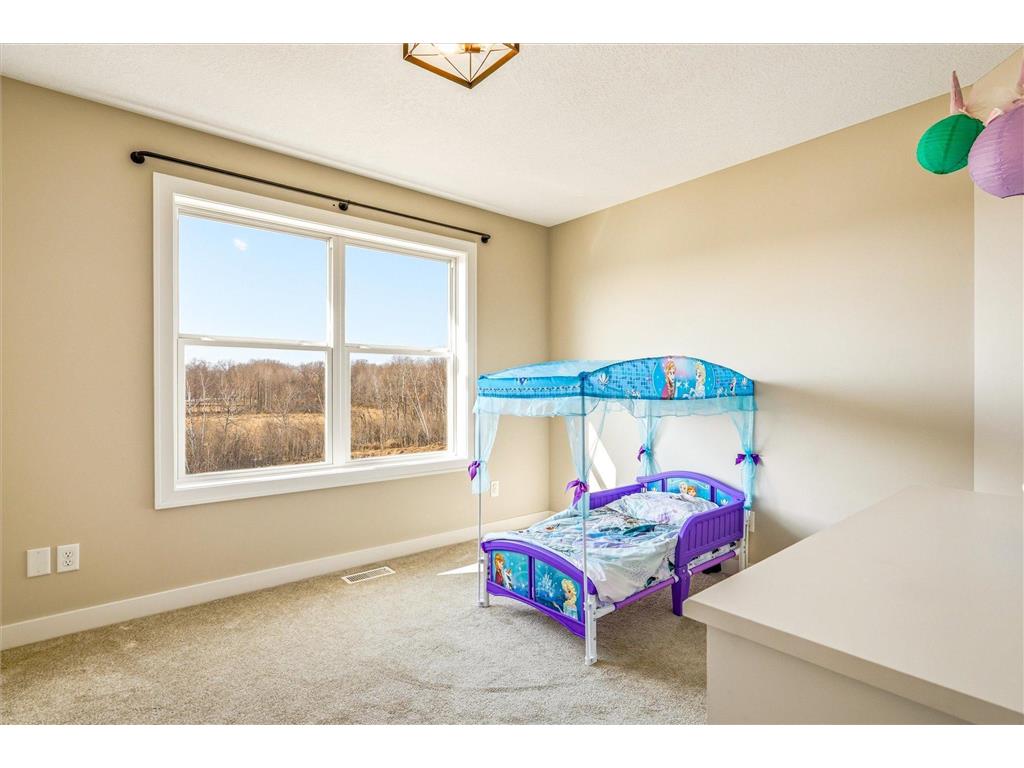 25686 Euclid Avenue Wyoming MN 55092 7029513 image23