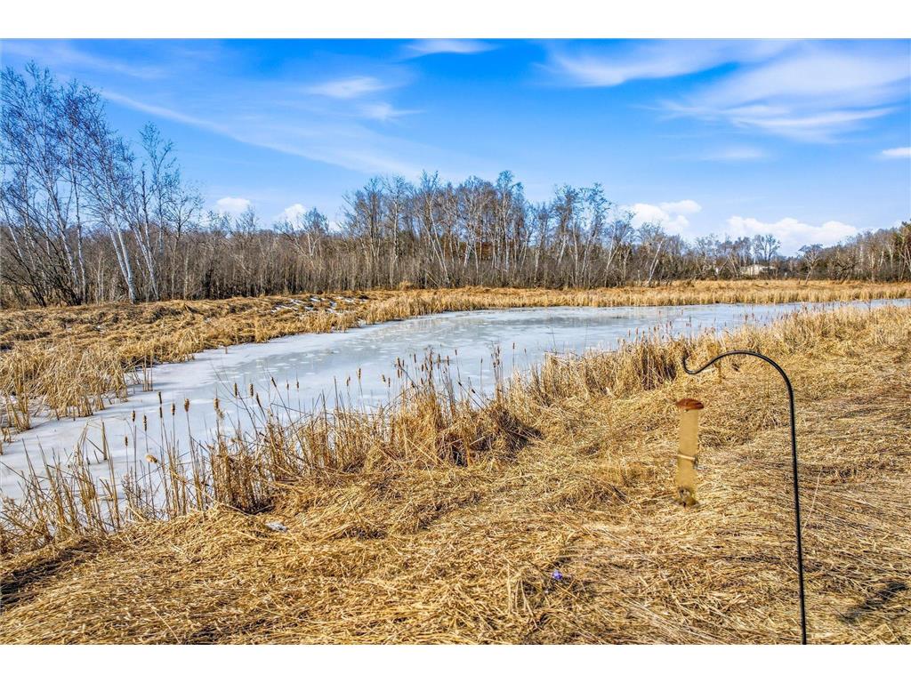 25686 Euclid Avenue Wyoming MN 55092 7029513 image41