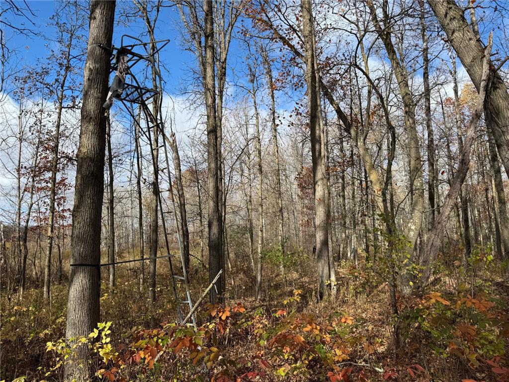 25690 Groningen Road Sandstone Twp MN 55072 6811651 image24