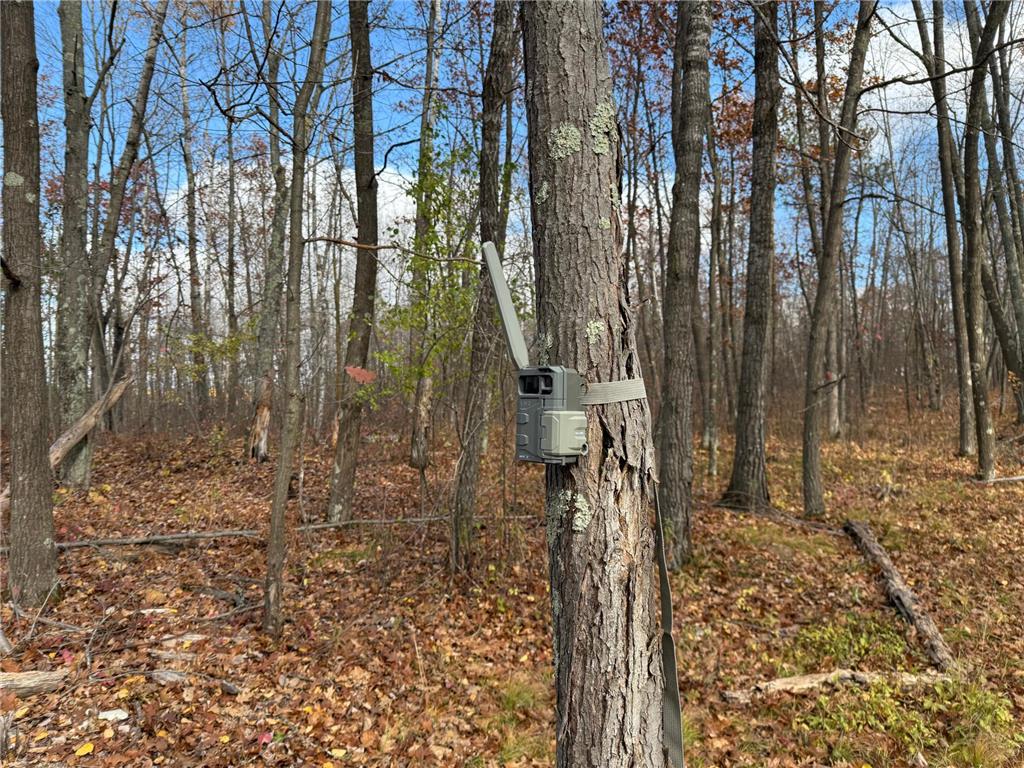 25690 Groningen Road Sandstone Twp MN 55072 6811651 image25