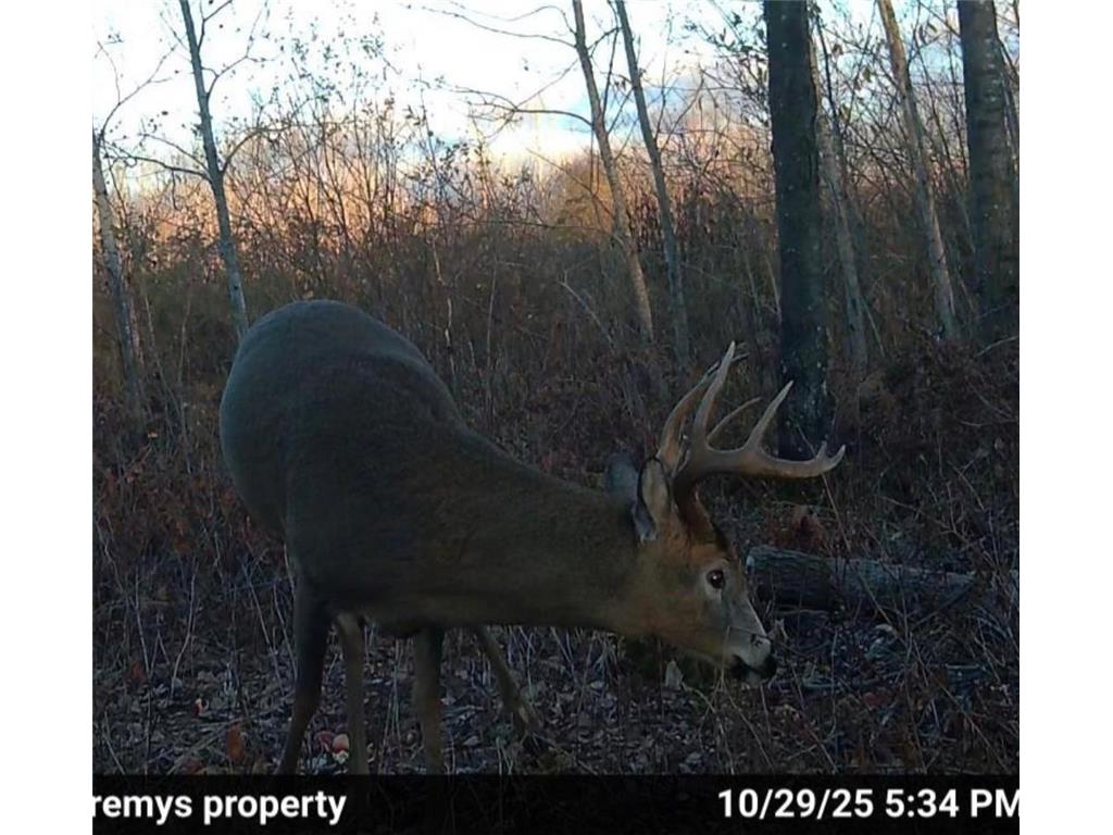 25690 Groningen Road Sandstone Twp MN 55072 6811651 image26