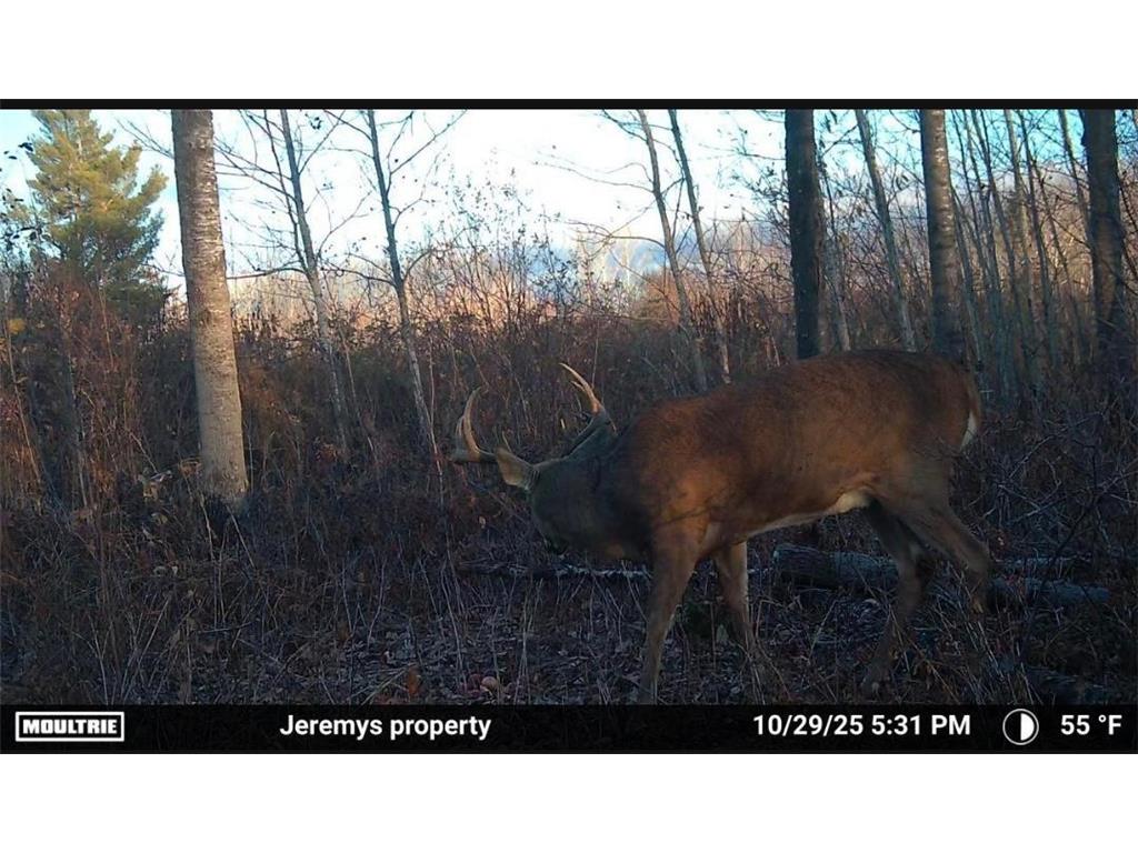 25690 Groningen Road Sandstone Twp MN 55072 6811651 image27