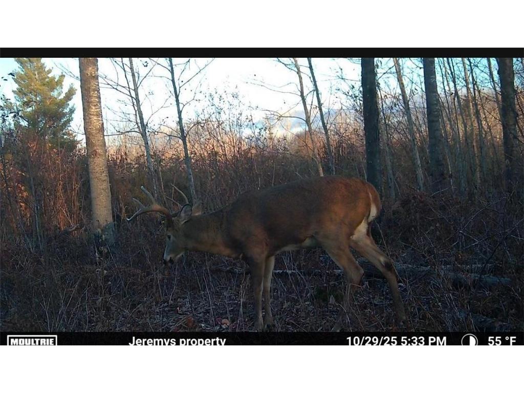 25690 Groningen Road Sandstone Twp MN 55072 6811651 image28