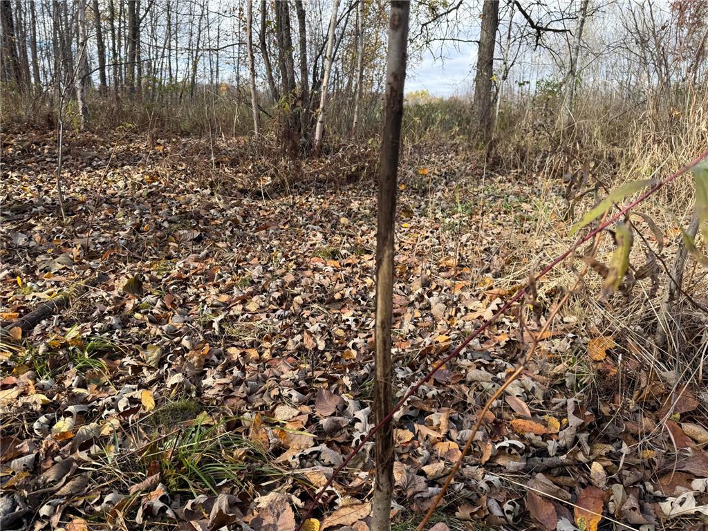 25690 Groningen Road Sandstone Twp MN 55072 6811651 image29