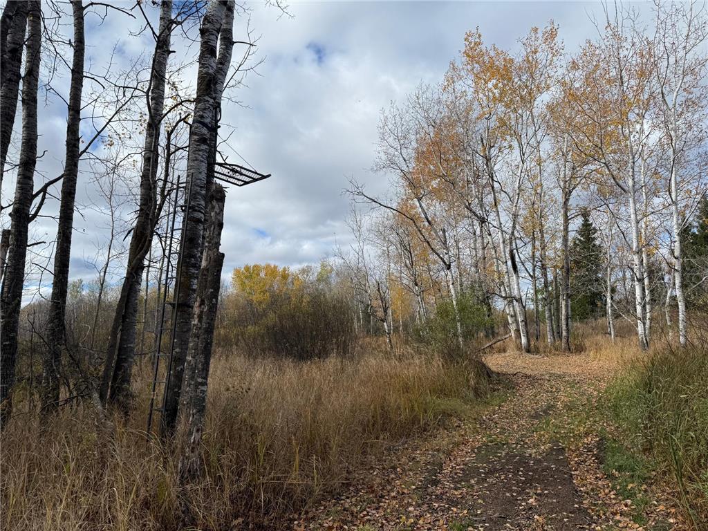 25690 Groningen Road Sandstone Twp MN 55072 6811651 image30