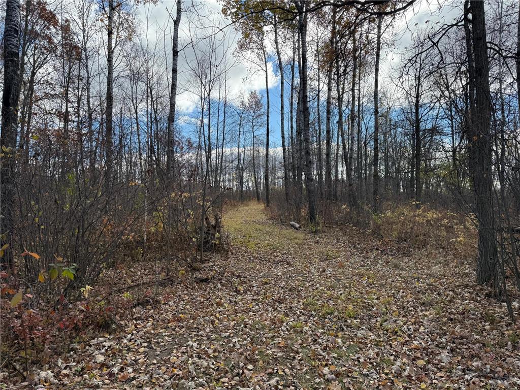 25690 Groningen Road Sandstone Twp MN 55072 6811651 image36