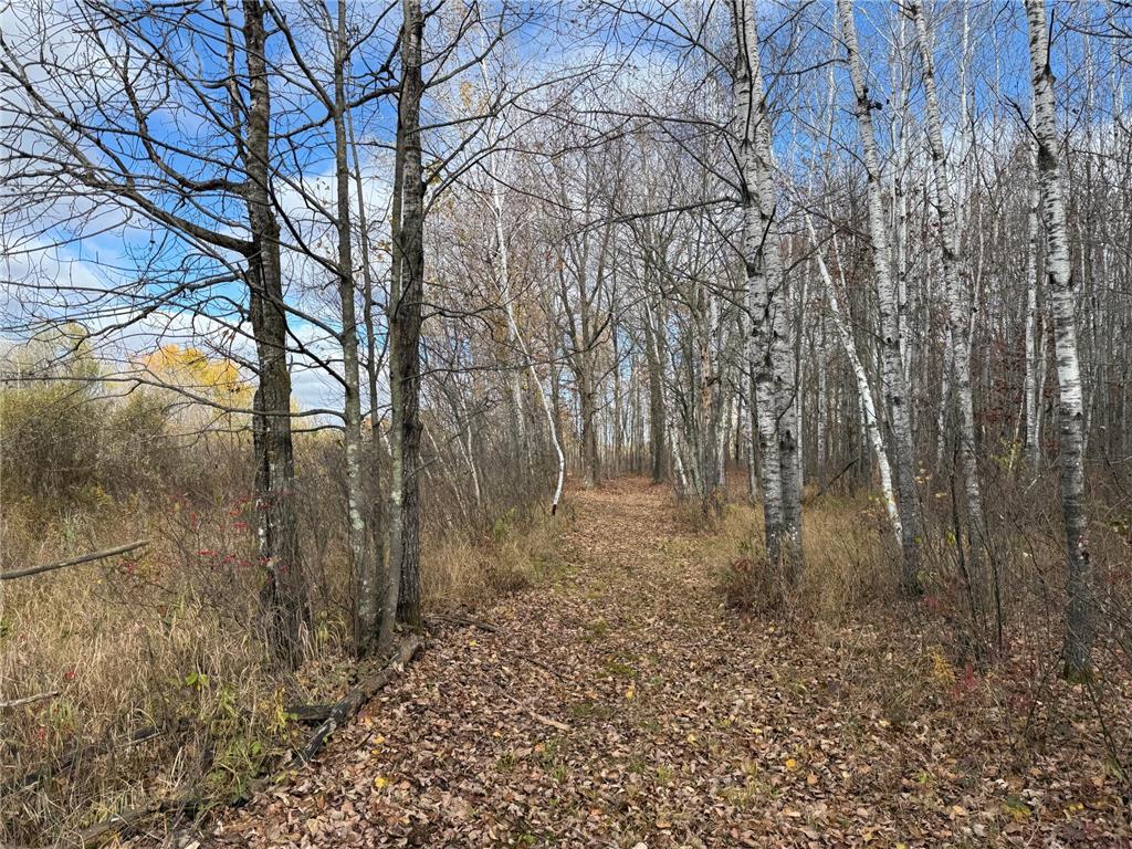 25690 Groningen Road Sandstone Twp MN 55072 6811651 image51