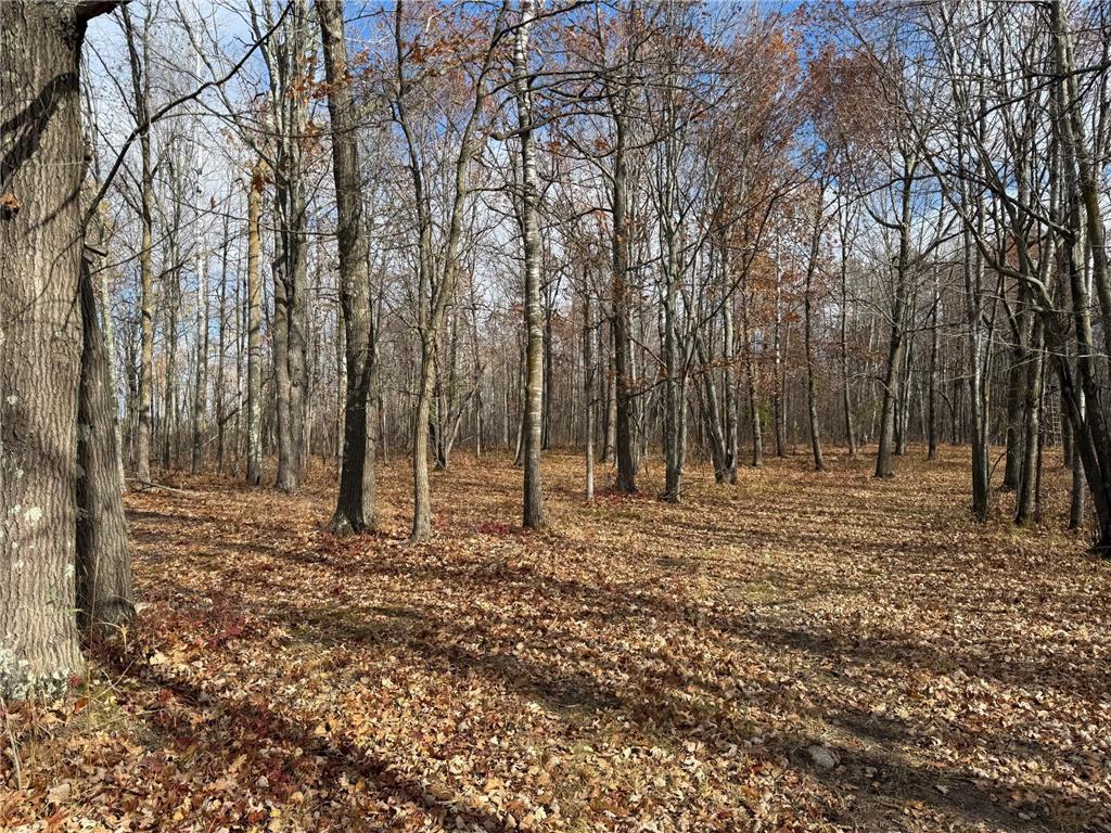 25690 Groningen Road Sandstone Twp MN 55072 6811651 image52