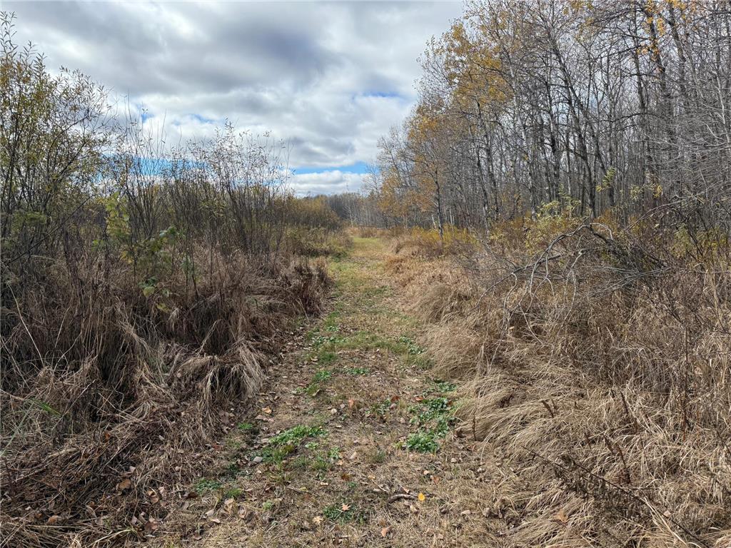 25690 Groningen Road Sandstone Twp MN 55072 6811651 image53