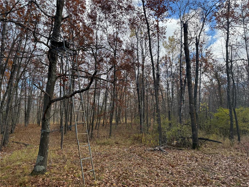 25690 Groningen Road Sandstone Twp MN 55072 6811651 image54