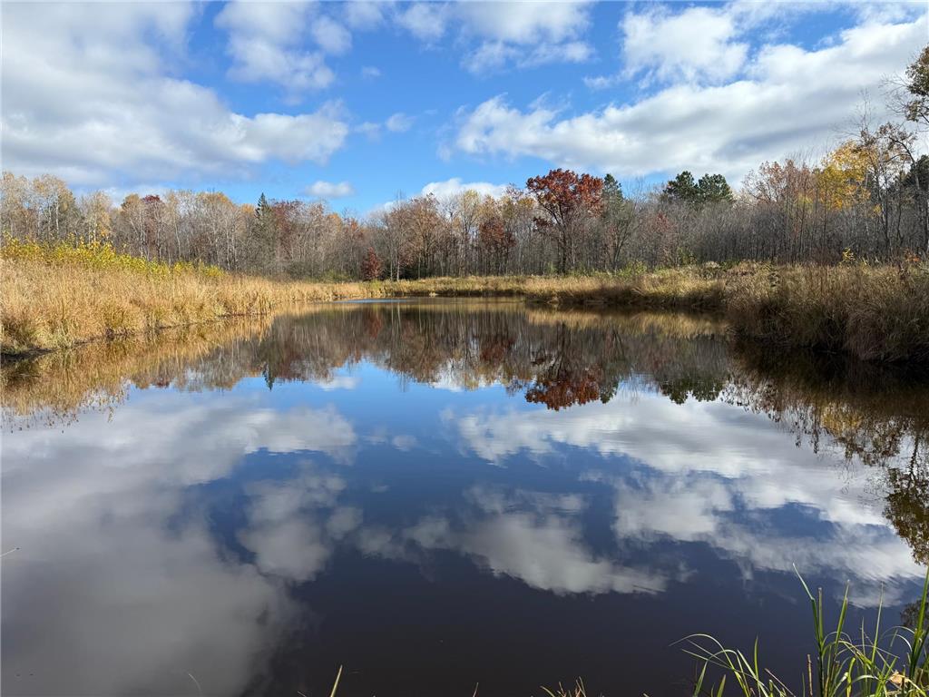 25690 Groningen Road Sandstone Twp MN 55072 6811651 image6