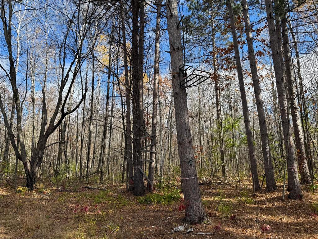 25690 Groningen Road Sandstone Twp MN 55072 6811651 image72