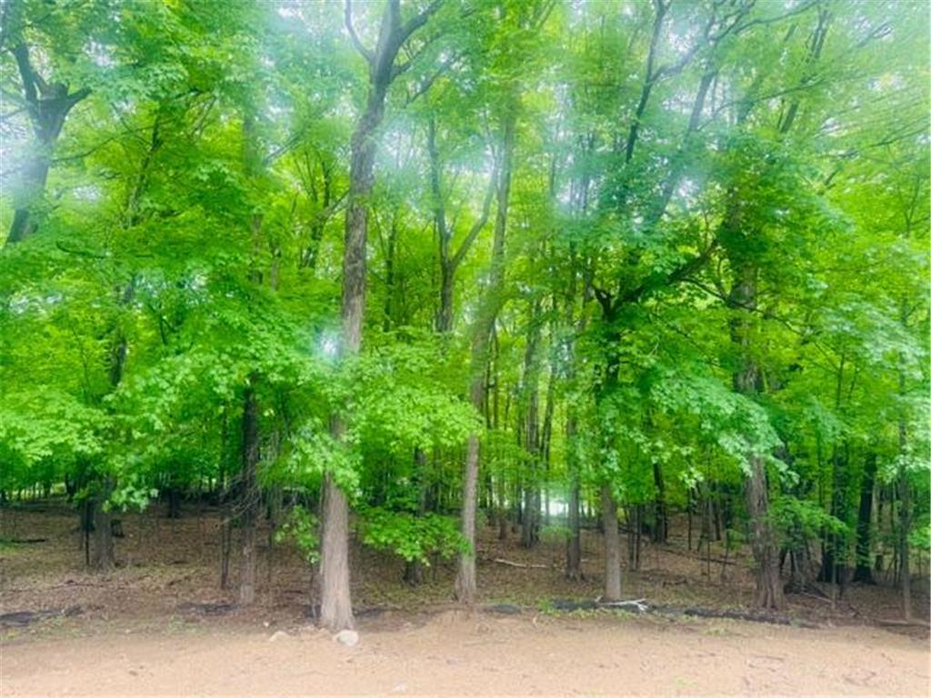 25725 Birch Bluff Road Shorewood MN 55331 7003572 image1