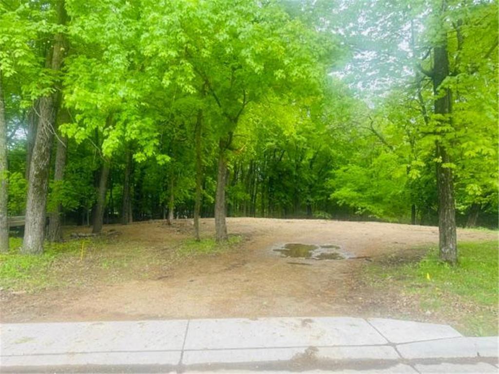 25725 Birch Bluff Road Shorewood MN 55331 7003572 image3
