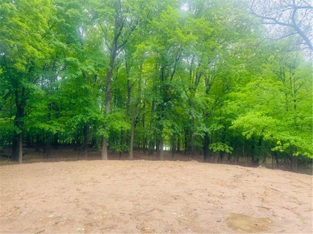 25725 Birch Bluff Road Shorewood MN 55331 7003572 image4