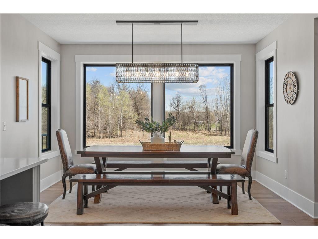 2575 123rd Court NE Blaine MN 55449 7051994 image13