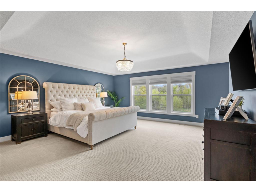 2575 123rd Court NE Blaine MN 55449 7051994 image31