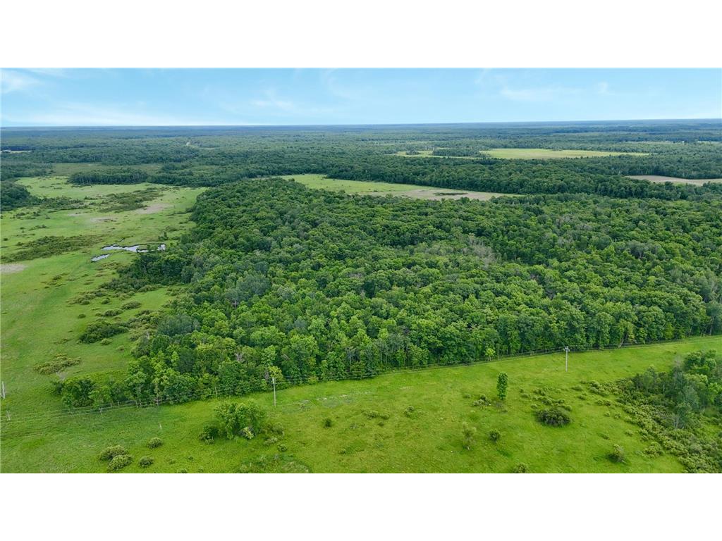 25756 US Highway 169 Dailey Twp MN 56359 7100874 image59
