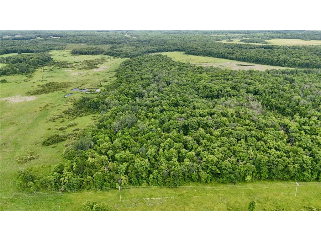 25756 US Highway 169 Dailey Twp MN 56359 7100874 image65