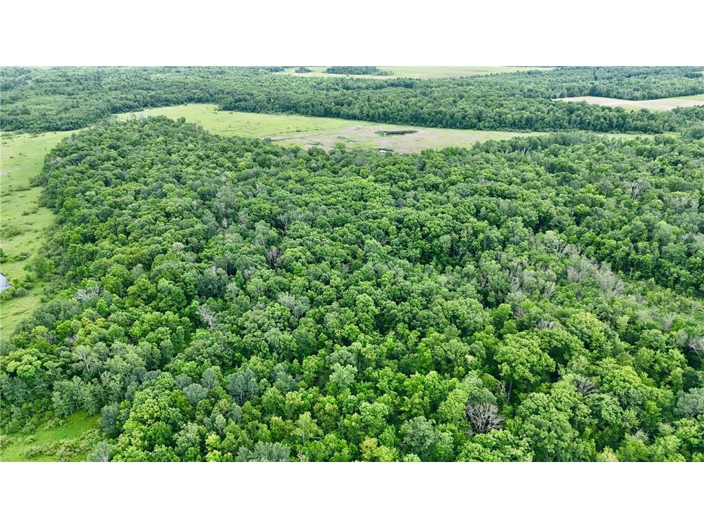25756 US Highway 169 Dailey Twp MN 56359 7100874 image67