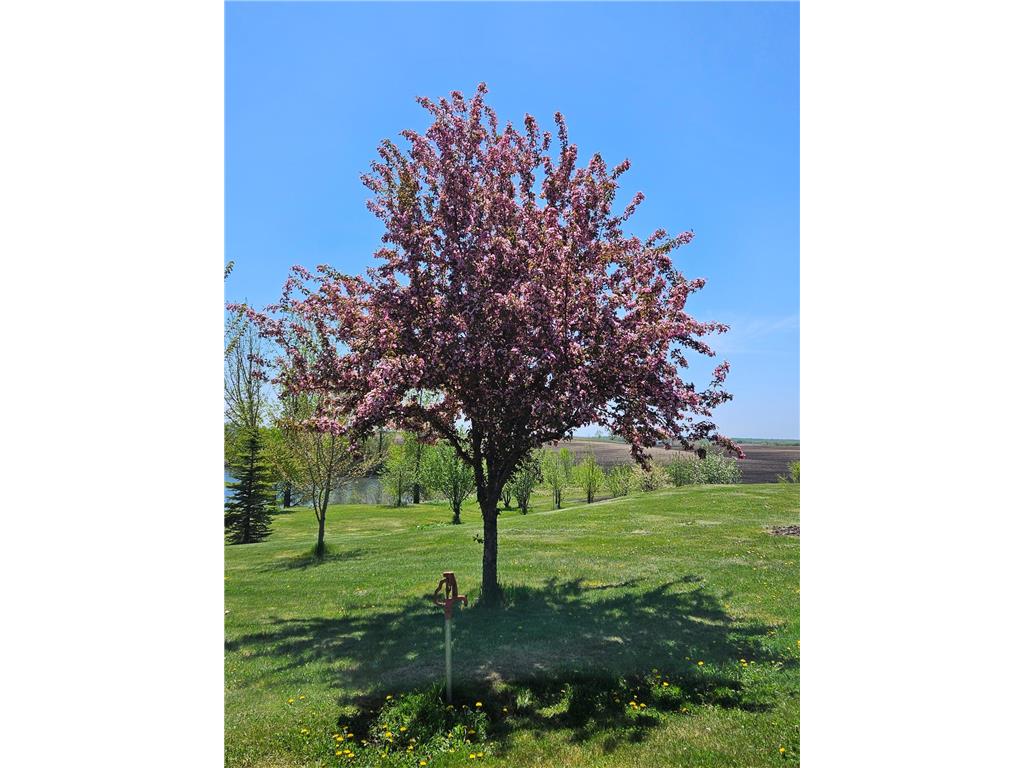 25759 State Highway 55 Lowry MN 56349 7105816 image102