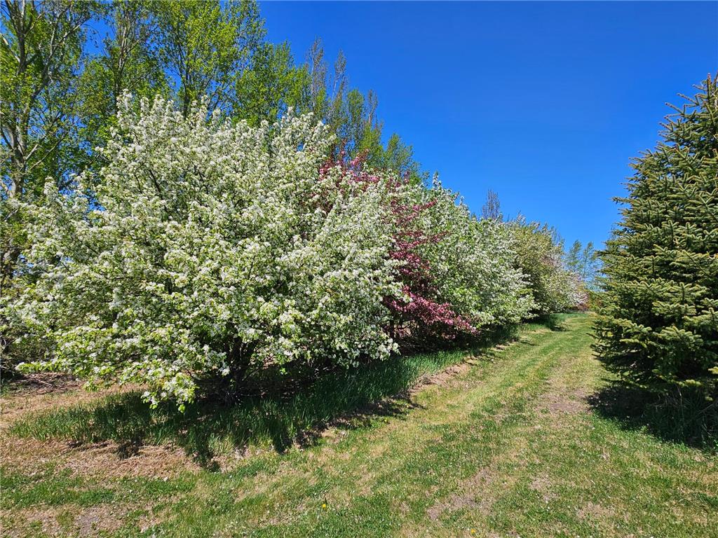 25759 State Highway 55 Lowry MN 56349 7105816 image103