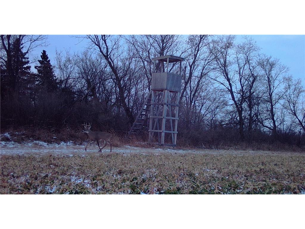 25759 State Highway 55 Lowry MN 56349 7105816 image109