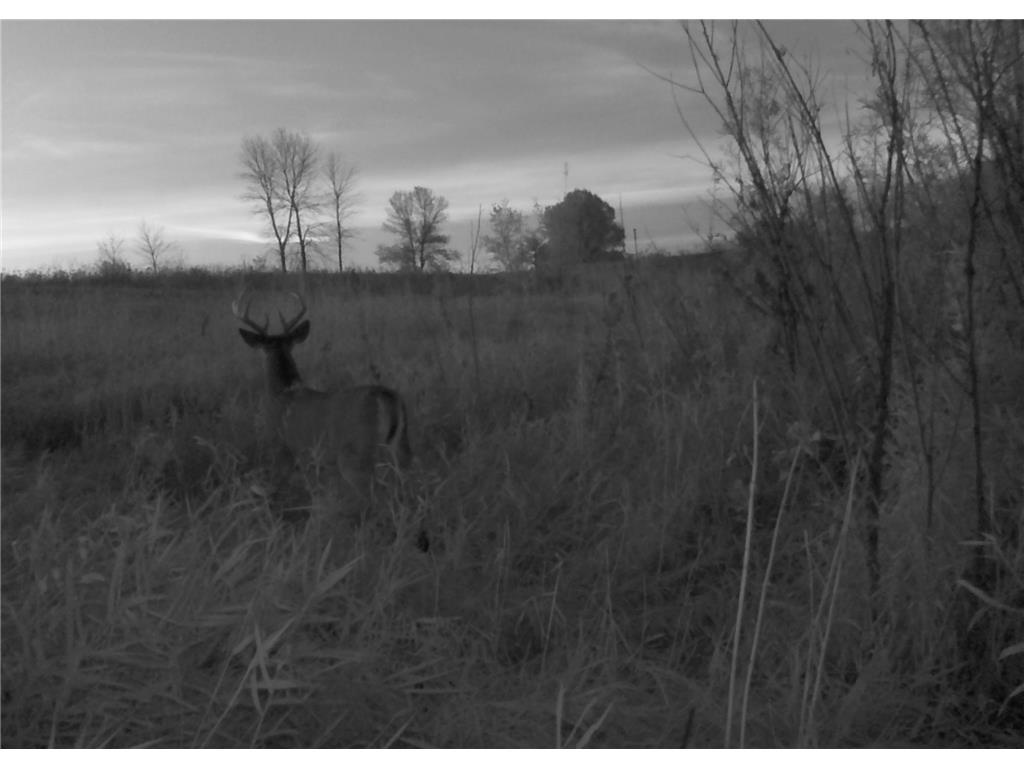 25759 State Highway 55 Lowry MN 56349 7105816 image114